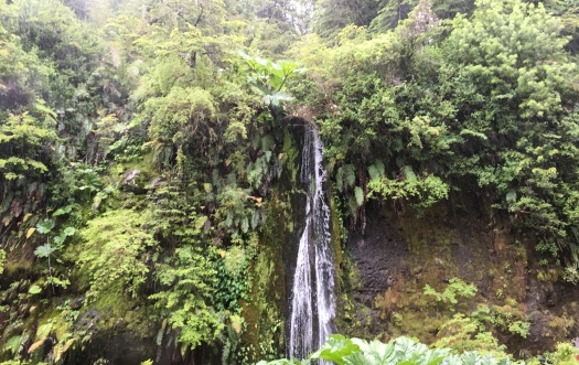 waterfall for blog.JPG